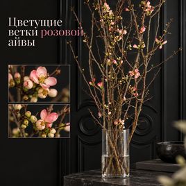 Ветки айвы розовой 100-130 см (поштучно)