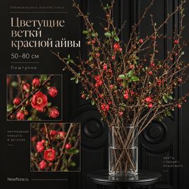 Ветки айвы красной 50-80 см (поштучно)