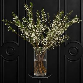 Ветки миндаля «Prunus Alba Plena» 80-100 см (поштучно)
