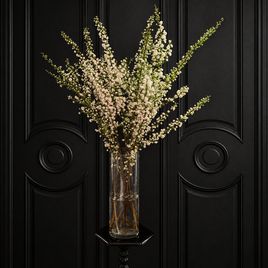 Ветки миндаля «Prunus Alba Plena» 80-100 см (поштучно)