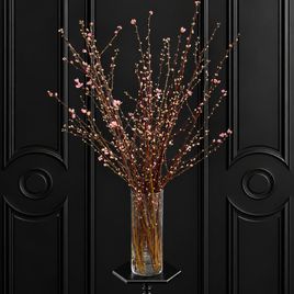 Ветки персика «Prunus persica» 100-130 см (поштучно)