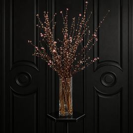 Ветки персика «Prunus persica» 100-130 см (поштучно)