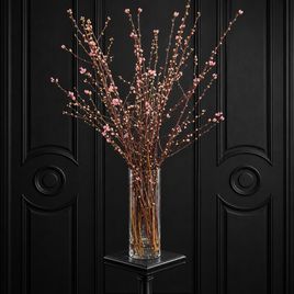 Ветки персика «Prunus persica» 100-130 см (поштучно)