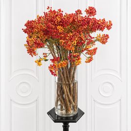Вибурнум калина «Compactum Red» 50-70 см (поштучно)