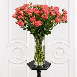 Роза кустовая пионовидная «Wink Coral Kiss» 50-70 см (поштучно)