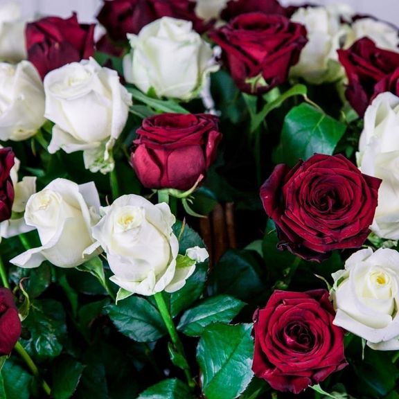 Корзина цветов 101 роза красная и белая РФ