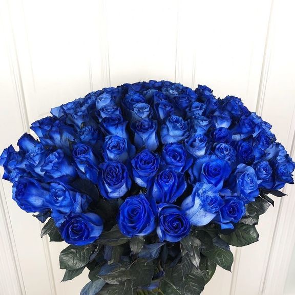 Букет 101 синяя роза Premium (цвет года 2020 по версии Pantone)