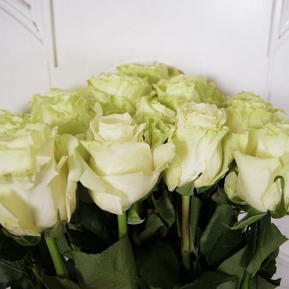 Букет 15 белых роз высотой 120см