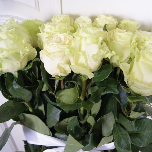 Букет 15 белых роз высотой 130см