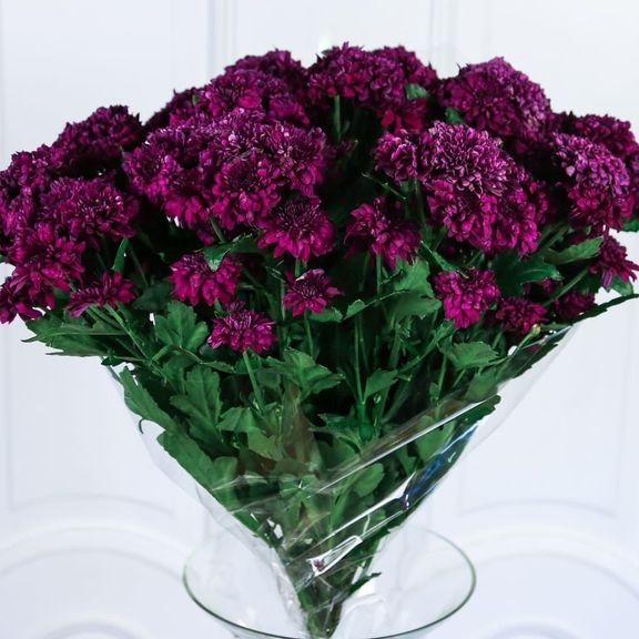 Букет 15 фиолетовых хризантем