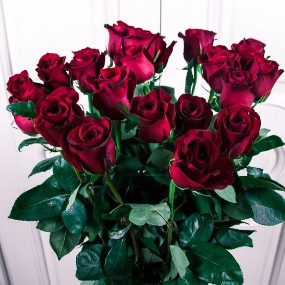 Букет 25 красных роз высотой 100см