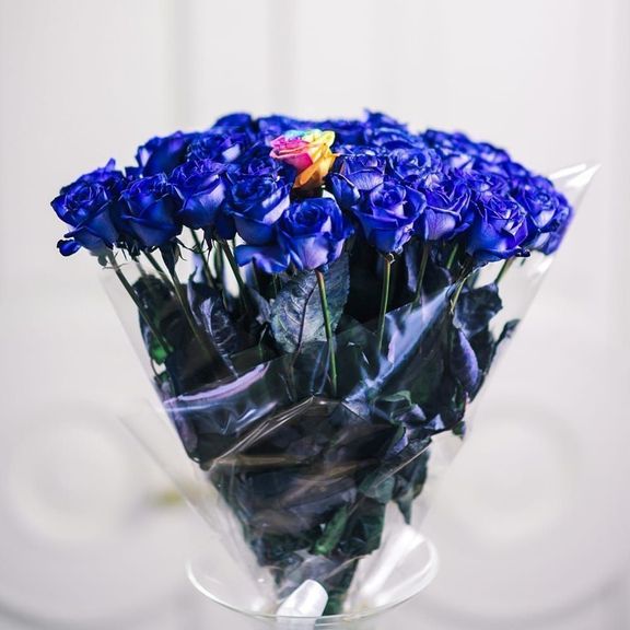 Букет 41 синяя роза «Циклоп»