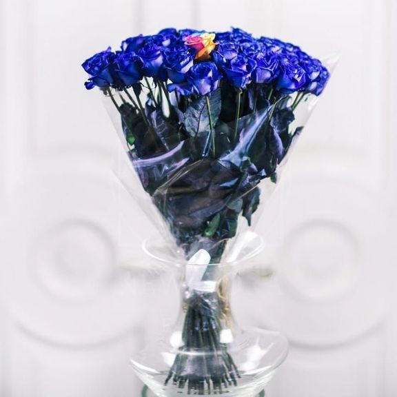 Букет 41 синяя роза «Циклоп»