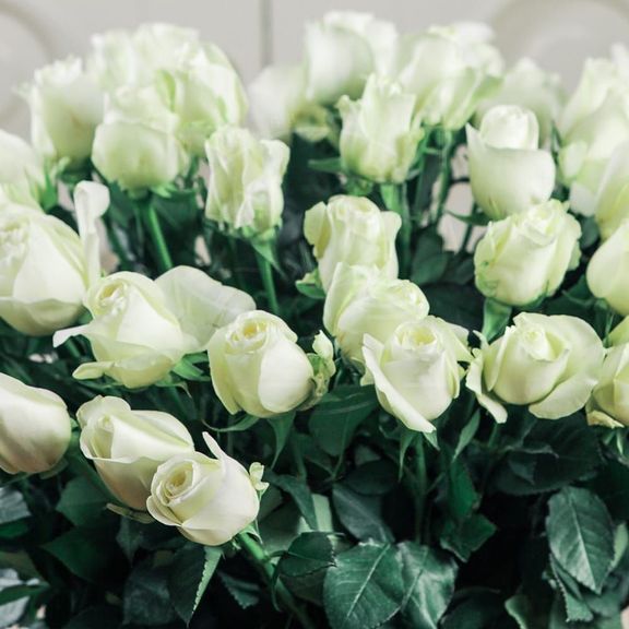 Букет 51 белая роза 70см сорт Proud (Юж. Америка)