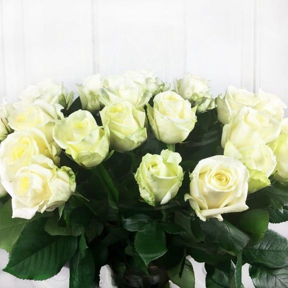 Букет 51 белая роза 50см (Голландия)