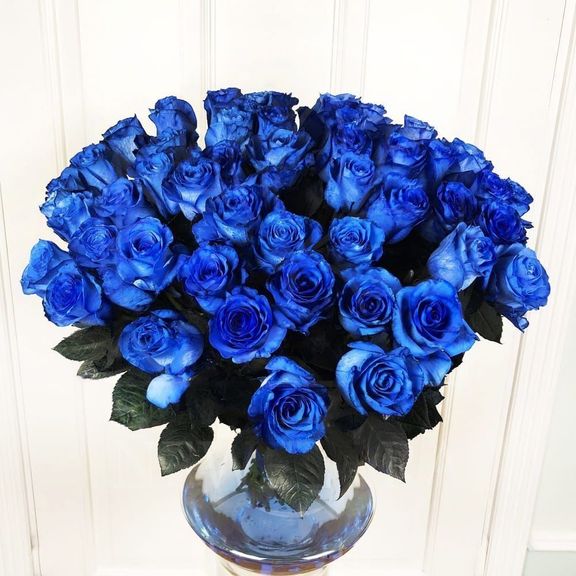 Букет 51 синяя роза (Premium)