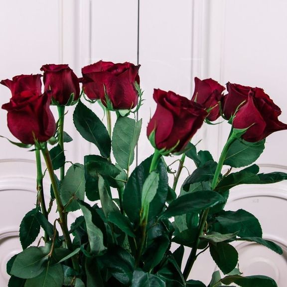 Букет 9 красных роз высотой 100см