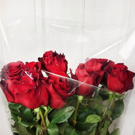 Букет 11 красных роз высотой 150см