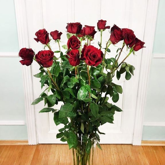 Букет 21 красная роза высотой 160см