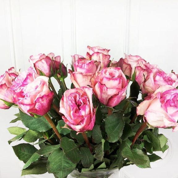 Букет 21 пионовидная ароматная роза Pink Ohara