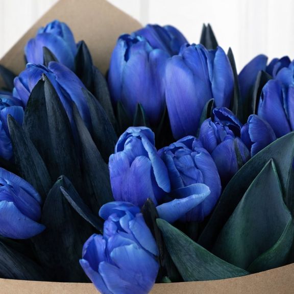 Букет 25 синих тюльпанов в крафт-бумаге