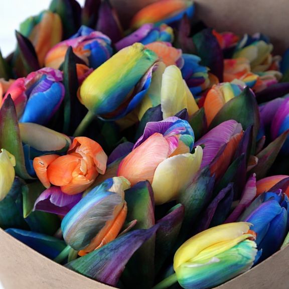 Букет 51 радужный тюльпан в крафт-бумаге