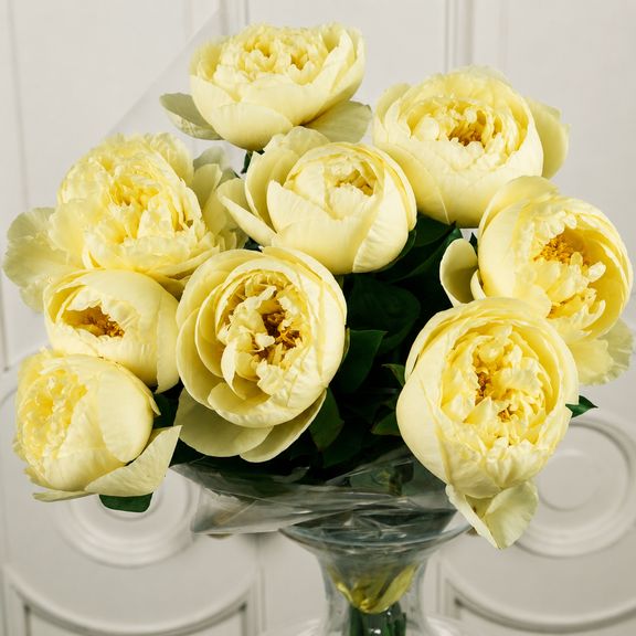 Букет 9 желтых пионов (Lemon Chiffon)