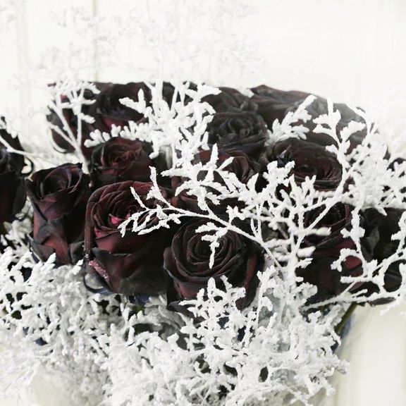 Букет 19 черных роз со снежной зеленью
