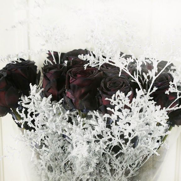 Букет 19 черных роз со снежной зеленью