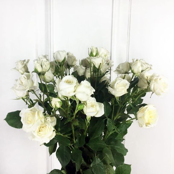 Букет 9 белых кустовых роз (60-70см)