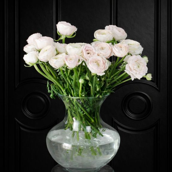 Белые ранункулюсы поштучно