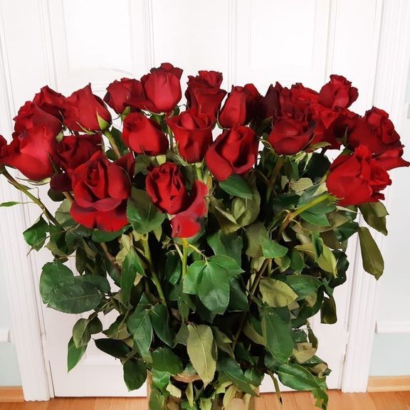 Букет 35 красных роз высотой 120см