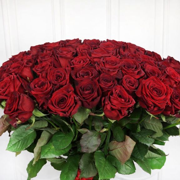 Букет 101 красная роза 60-70см (Эквадор)