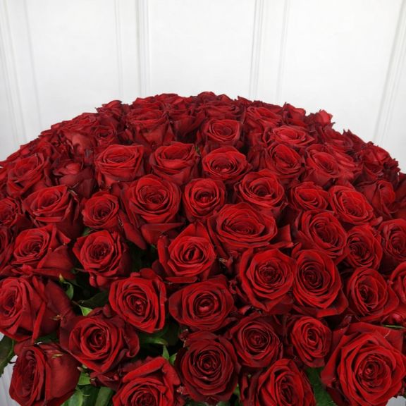 Букет 101 красная роза 60-70см (Эквадор)