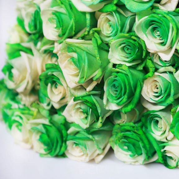 Букет 25 бело-зеленых роз (под заказ)