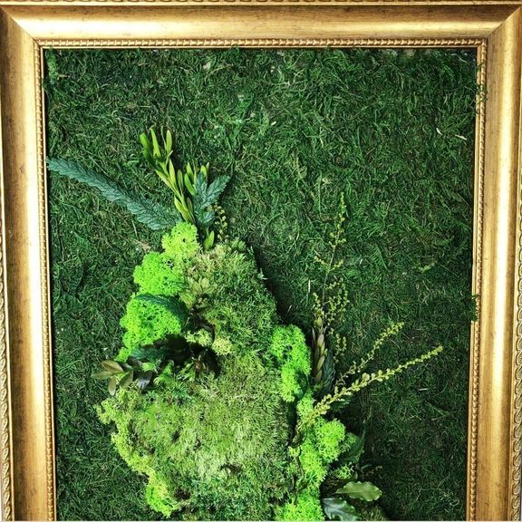 Картина из стабилизированного кочкового мха с зеленью 70×30см