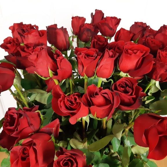 Букет 45 красных роз высотой 120см