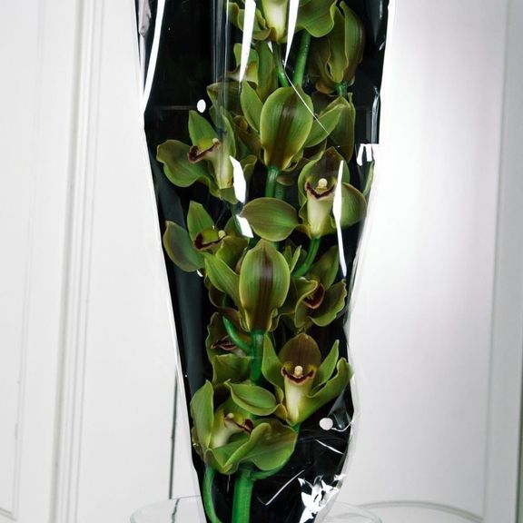 Орхидея цимбидиум оливковая (80см)