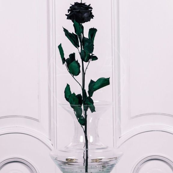 Стабилизированная черная роза D10см (поштучно)