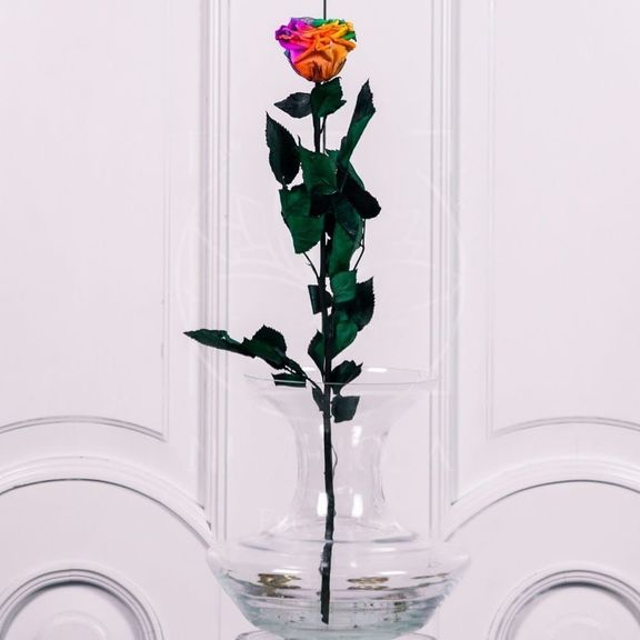 Стабилизированная радужная роза D10см (поштучно)