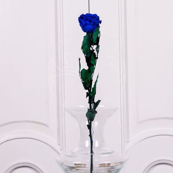Стабилизированная синяя роза D10см (поштучно)
