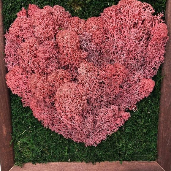 Картина розовое сердце из стабилизированного мха 26×30см