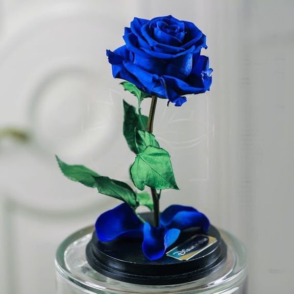 Роза синяя в колбе с ароматом (Premium)