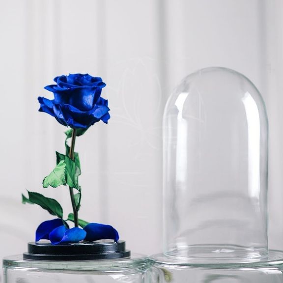 Роза синяя в колбе с ароматом (Premium)