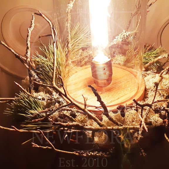 Ретро светильник лампа Эдисона в колбе на березовом спиле с ягелем, питание от сети