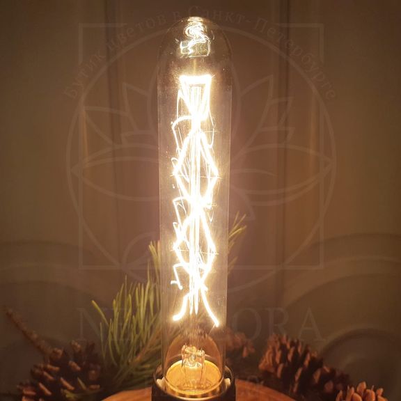 Ретро светильник лампа Эдисона в колбе с шишками и ветками сосны, питание от сети