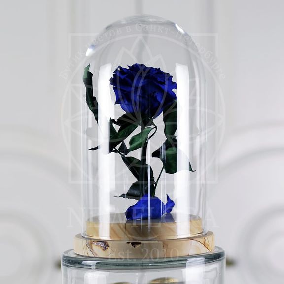 Стабилизированная роза в колбе на мраморной подставке