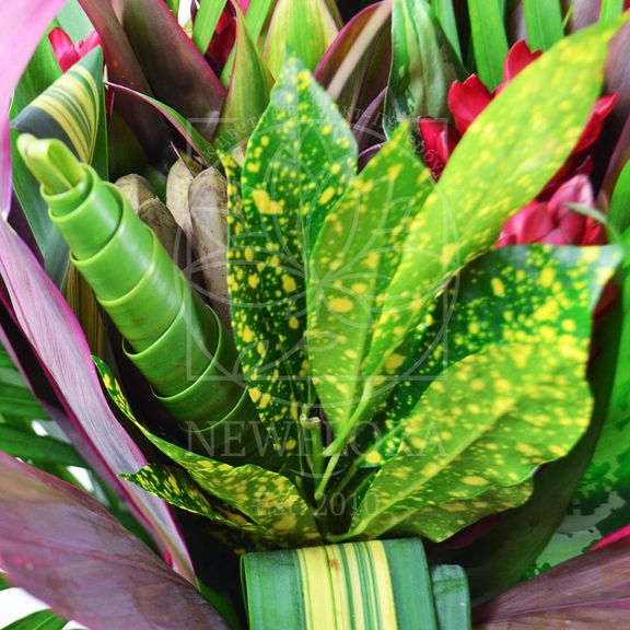 Экзотический букет с тропическими цветами из джунглей