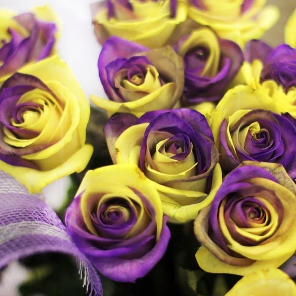 Букет 25 желто-фиолетовых роз (под заказ)