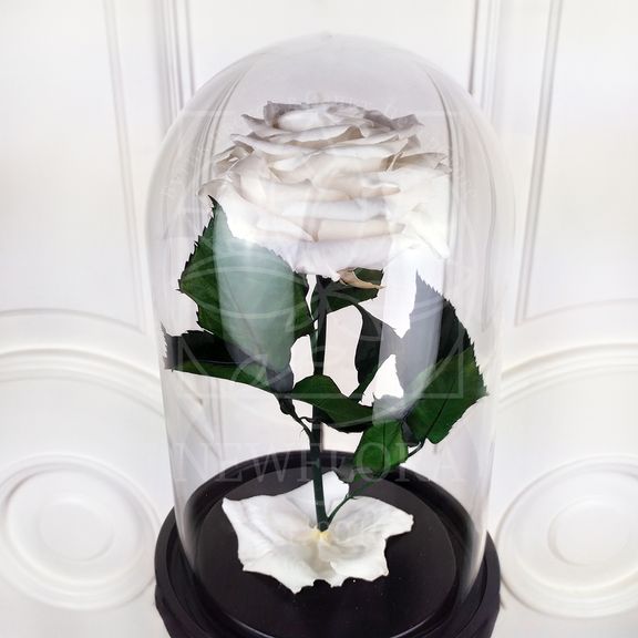 Роза белая в колбе с ароматом (Premium)